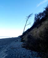 Ferienwohnungen in Rerik an der Ostsee